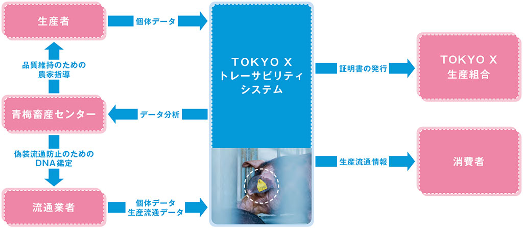 トレーサビリティシステム