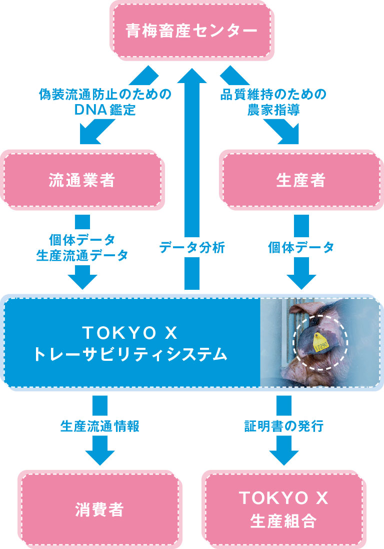 トレーサビリティシステム