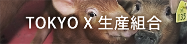 Tokyo X 生産組合
