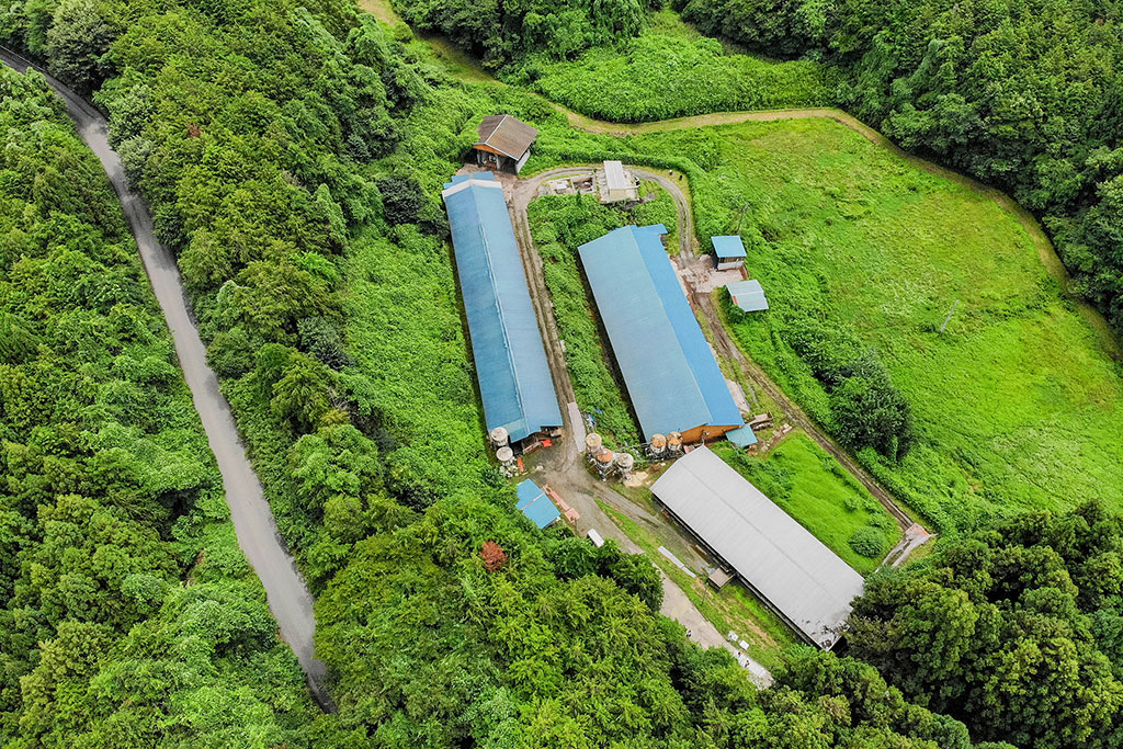 「トウキョウX」の真価と未来