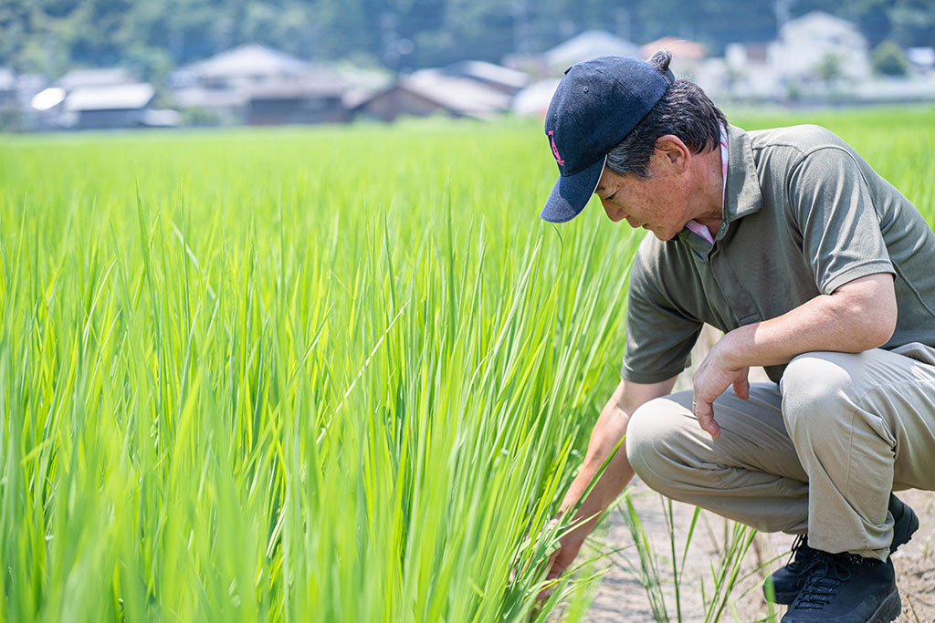 「五感がトキメク」幻の豚・TOKYO Xの美味しさを届けるために