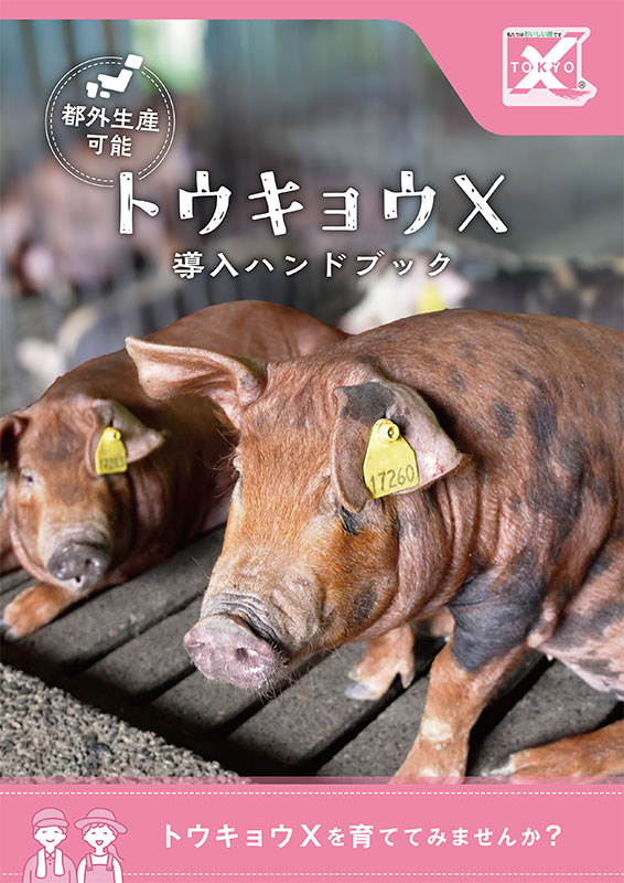 トウキョウＸ導入ハンドブック